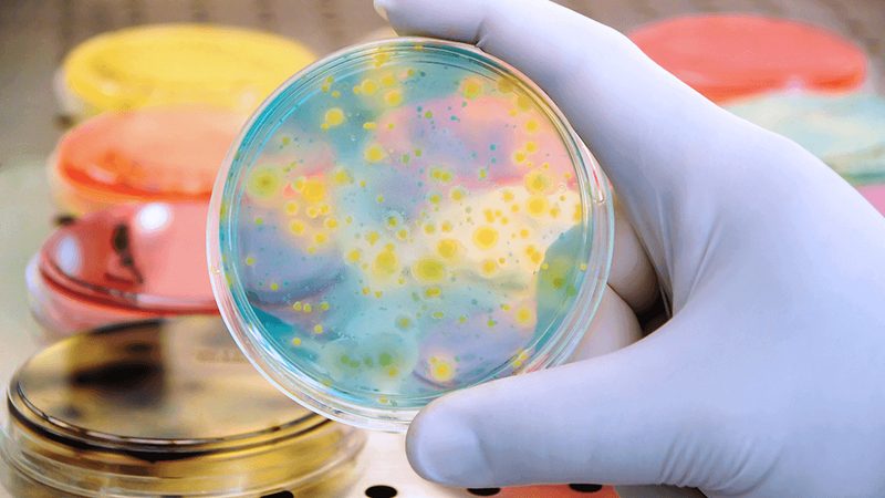 苏州生物药CDMO公司：揭秘生物药生产背后的关键力量**