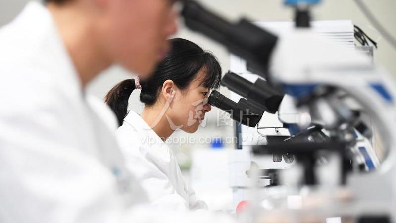 细胞工厂质检标准：揭秘生物制药品质保障的关键