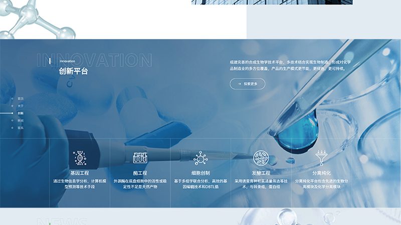 CDMO服务收费标准：揭秘医药研发背后的成本构成
