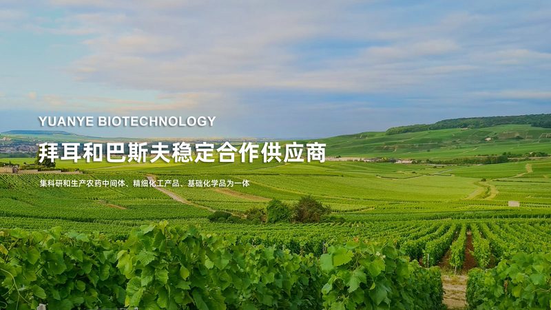 多重实时荧光PCR引物设计的五大关键步骤