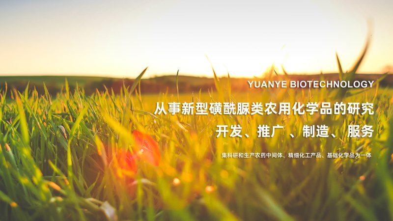 生物科技饲料：揭开与普通饲料的差异之谜**