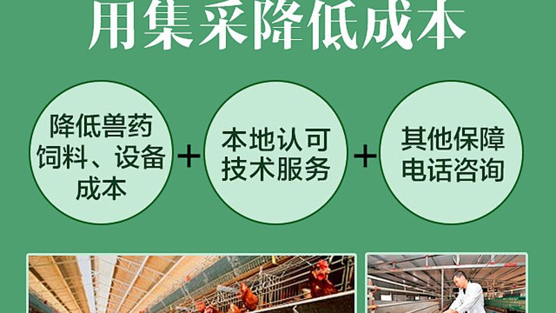 引物修饰：提升PCR反应效率的关键