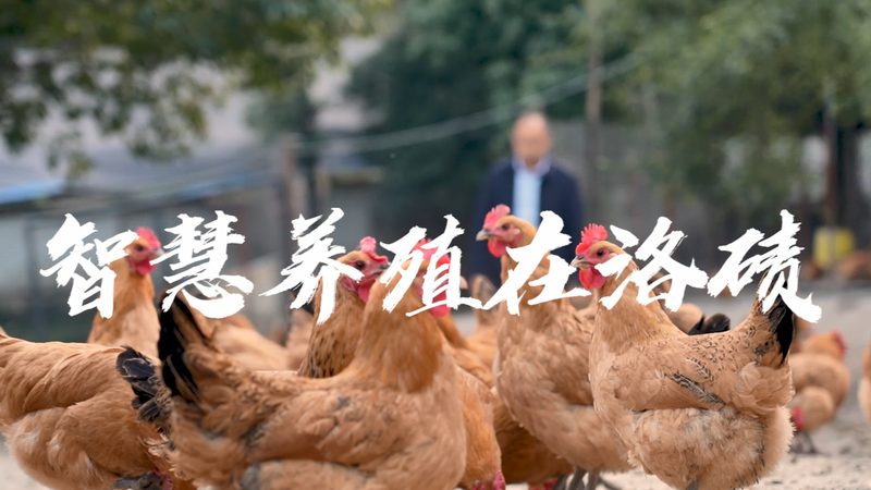 ADC临床试验的冰与火：疗效突破与开发困局