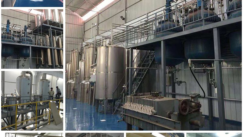 原料药CDMO与CMO：揭秘两者间的本质差异